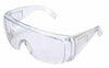 ANTEOJO SEGURIDAD PARKSON TRANSPARENTE GRIS VG-2010 (CAJA 12 UN.)