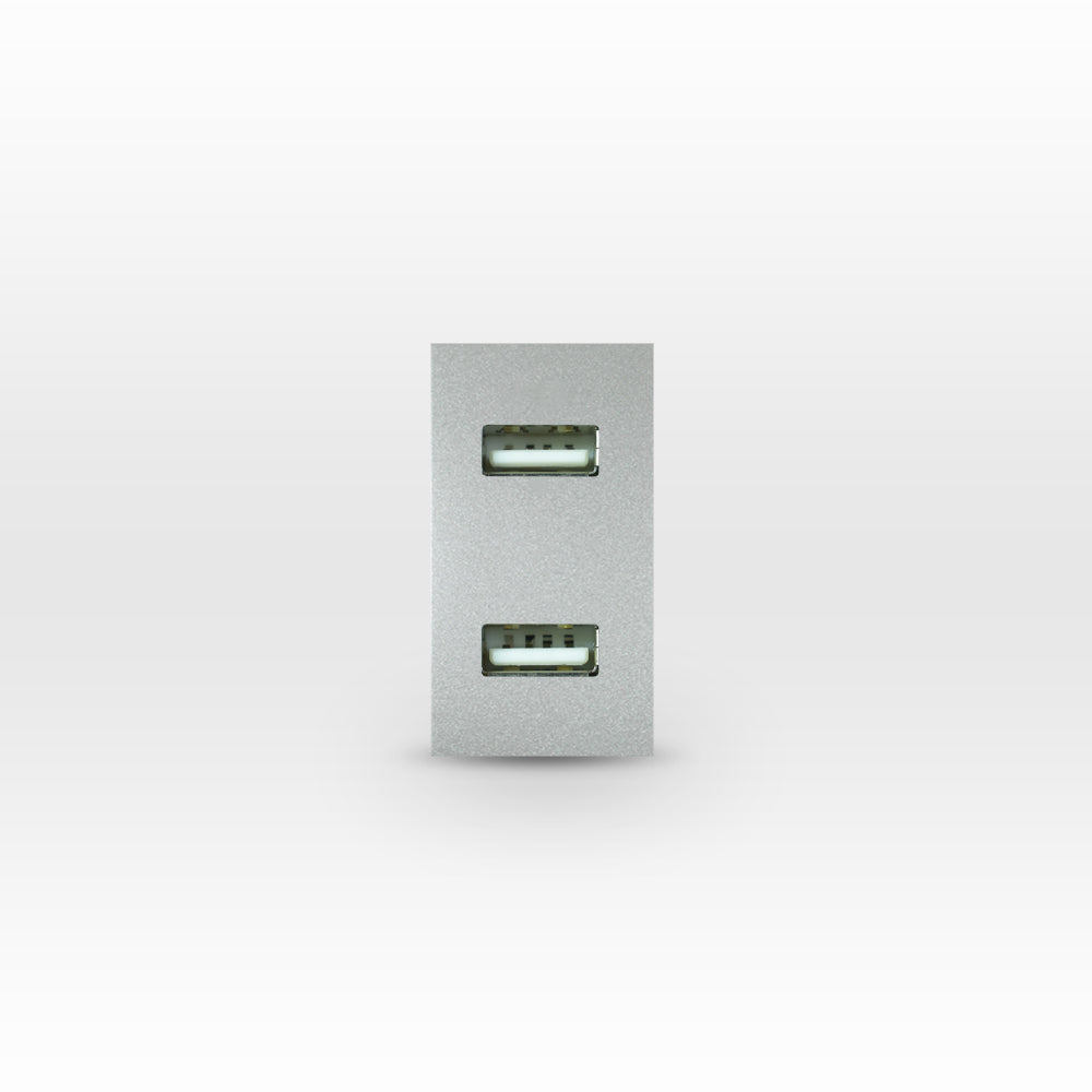 MÓDULO TOMA USB ANDES 5V C.C. 1100MA SILVER
