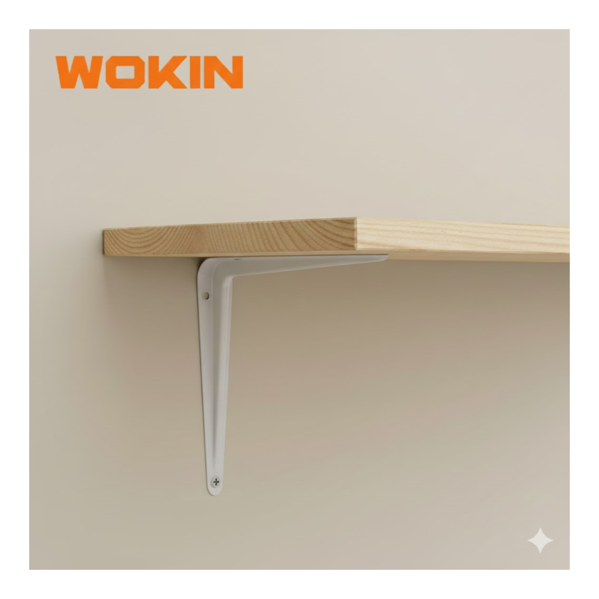 Soporte Para Estantes 250X300mm Wokin