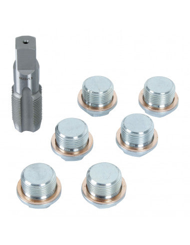 REPARADOR HILOS TAPON CARTER M22 x 1.5 AI0102016J
